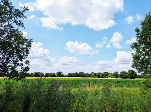 View of field to the front.