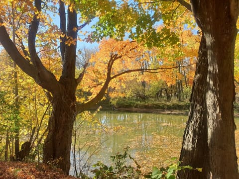 Amazing place to witness fall colors