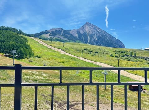 View from wraparound balcony