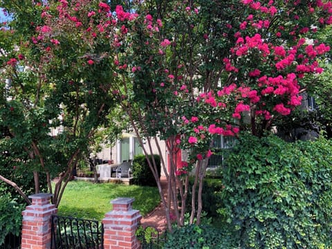 View from the street