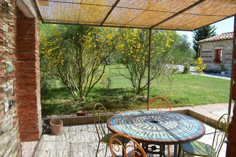 Plant, Property, Building, Botany, Nature, Table, Window, Outdoor Table, Flowerpot, Leaf