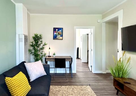 Living room area, with queen size sofa bed and desk