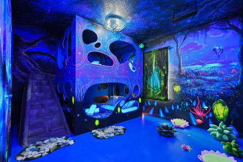 Enchanting glow-in-the-dark bunk room with slide and fantasy art!