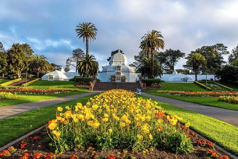 San Francisco Botanical Garden
