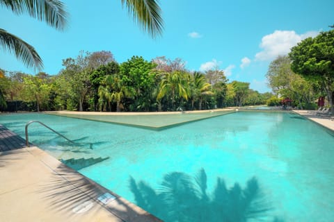 Welcome to Playa's paradise! Take a refreshing dip at any time of day under the sun in our shared infinity pool!
