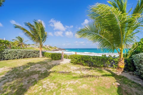 Beachfront property with a direct access on the beach.Nice beachfront garden with tropical flowers, palm trees.  Lounge chairs and hammock under the palm trees. Private parking at the entrance. 