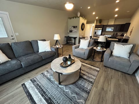 Comfortable Living Room with 65 Inch Smart TV.  Queen Sofa Sleeper.