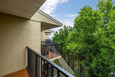 Relax with a morning coffee while taking in serene treetop views from your private balcony.