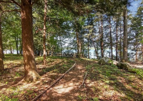 Path from the cottage to the deck