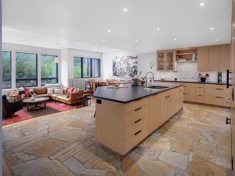 Kitchen / Living Room / Dining Area