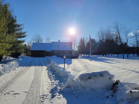 Outdoors, Shelter, Tree, Nature, Fir