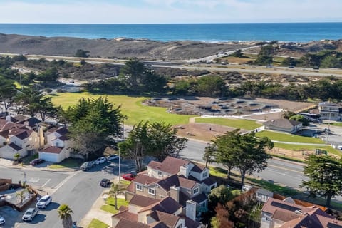 Succulents and Seashells, right on Monterey Bay