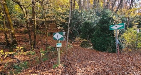 Head of the Appalachian Trail across from Natahala outdoor center
