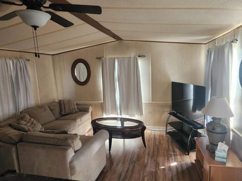 Living Room, 55" Smart TV, Local Channels, Netflix, Amazon Prime TV