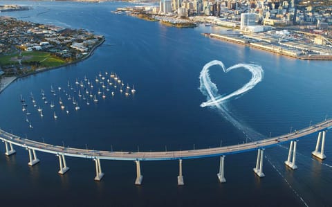 The Bridge to Coronado Island (5-7 min drive away)