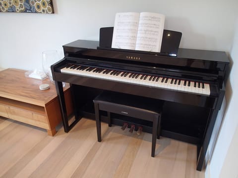ENJOY MUSIC: Relax and enjoy the brilliant Bose Sound System or play the Yamaha electronic piano.