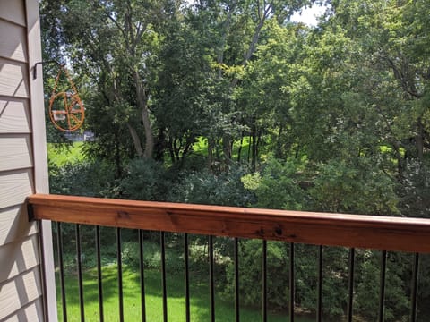 Back Yard from upper deck