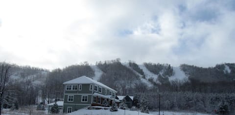Winter wonderland