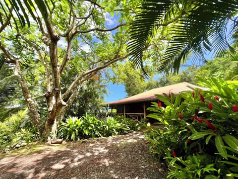 Villa California in the middle of its wonderful garden