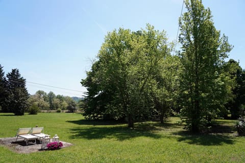 Over 2 hectares of meticulously tended parkland.