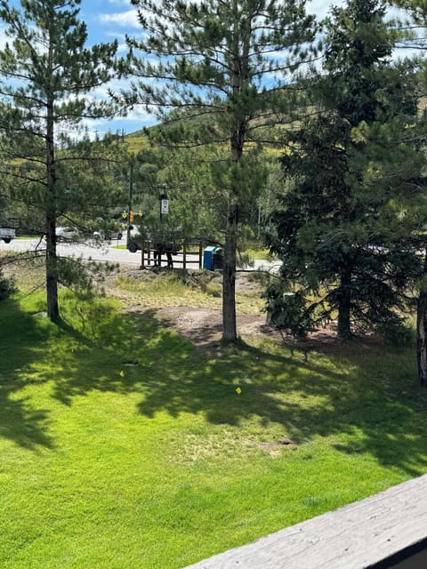 Just a quick walk across the road to the Beaver Creek Bear Lot