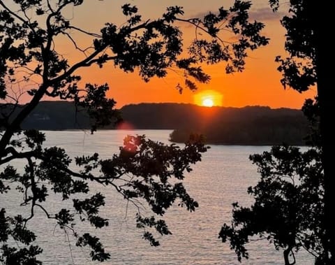 Enjoy captivating views and the most amazing sunsets on Barren River Lake!