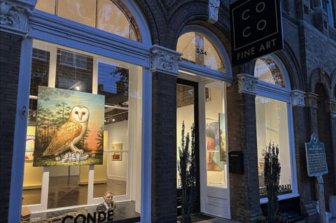 View of Conde Contemporary art gallery, located just below your suite.