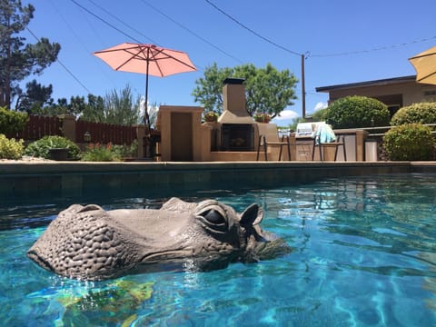 Marvin the Hippo