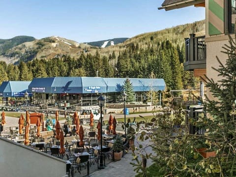 The Lion at Lionshead Village Vail
