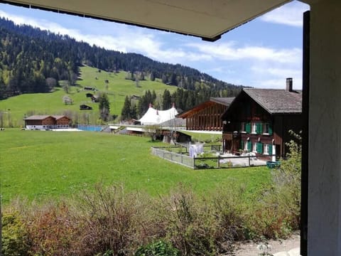 Take in the beautiful Swiss mountainside views