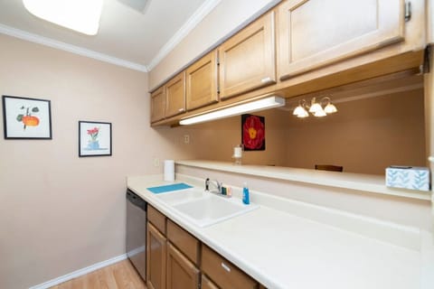 Kitchen sink and bar top
