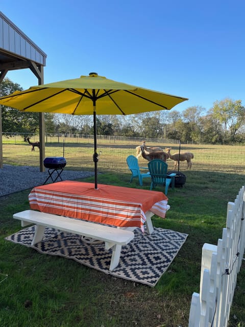 picnic area, firepit with chairs, and outdoor grill