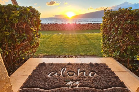 Your Hawaiian adventure begins here—Aloha and welcome to paradise!