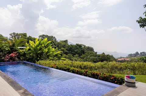 Infinity edge pool with an ocean view