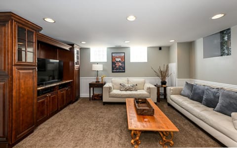 Lower Level Living Room