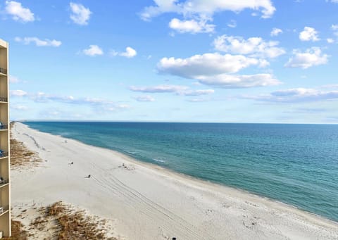 What an unobstructed view when you walk in! best view on the beach!
