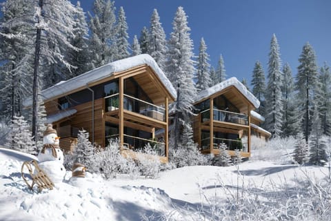 Holiday Home Exterior [winter]