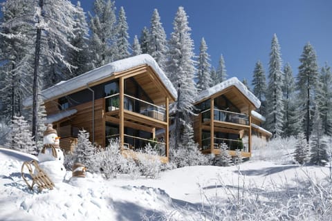 Holiday Home Exterior [winter]