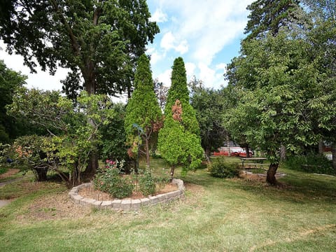 Park like setting right outside your door!