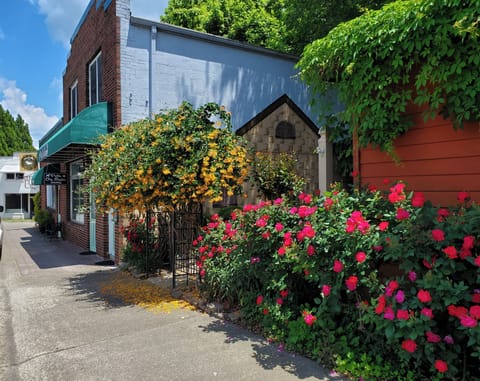 Overlook On Main
108 N Main Street garden