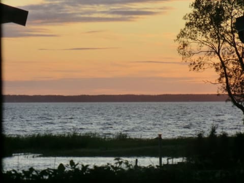 view from the living room