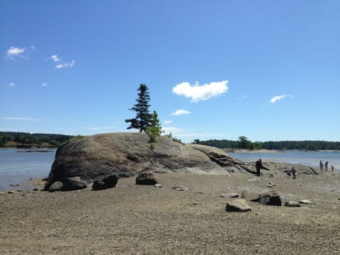 5 minute walk to local trust land, 10 drive to small beach; 12 to Lobster Shack 