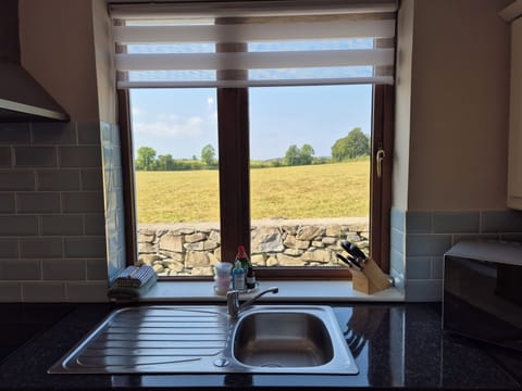 View from the kitchen sink!