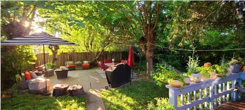 Front yard from the cottage