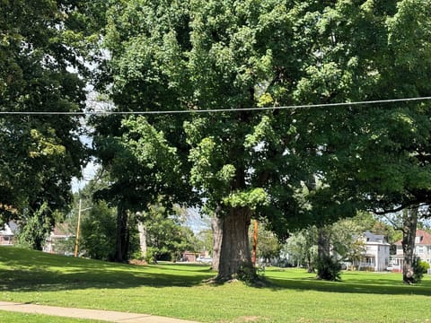 Elementary school & park across the street