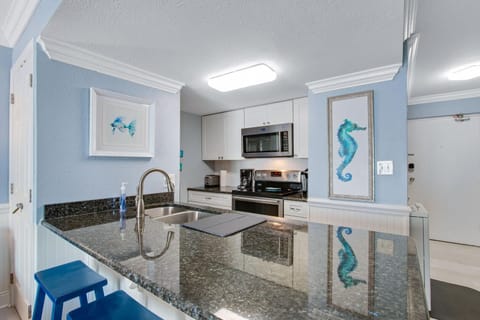 Granite Counter with Stainless Steel Appliances