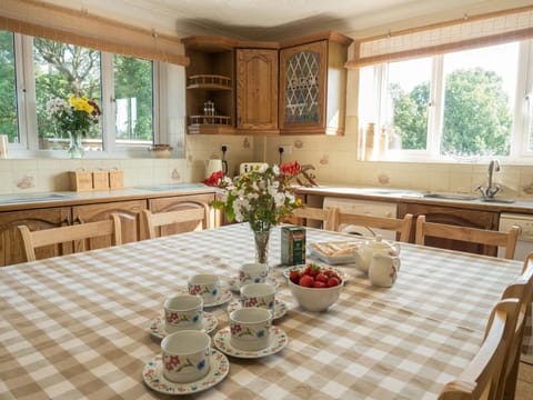 Kitchen table and chairs set for tea, two large windows