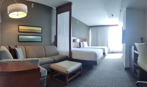 Stretch out in a spacious suite with cozy lounge seating.