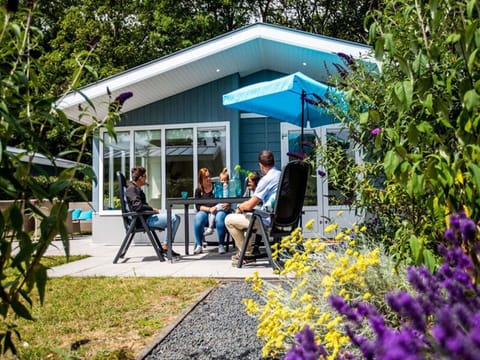 Plant, Flower, Tree, Shade, Yellow, Chair, Leisure, Woody Plant, Grass, Summer