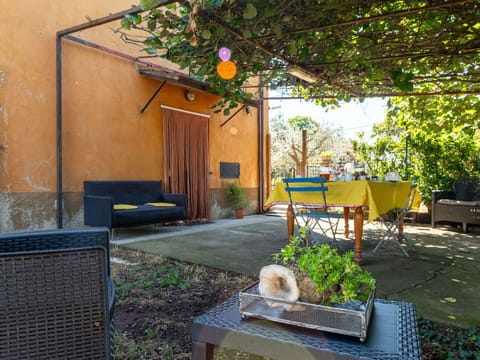 Plant, Property, Building, Window, Shade, Grass, Outdoor Furniture, Sunlight, Tree, Cottage